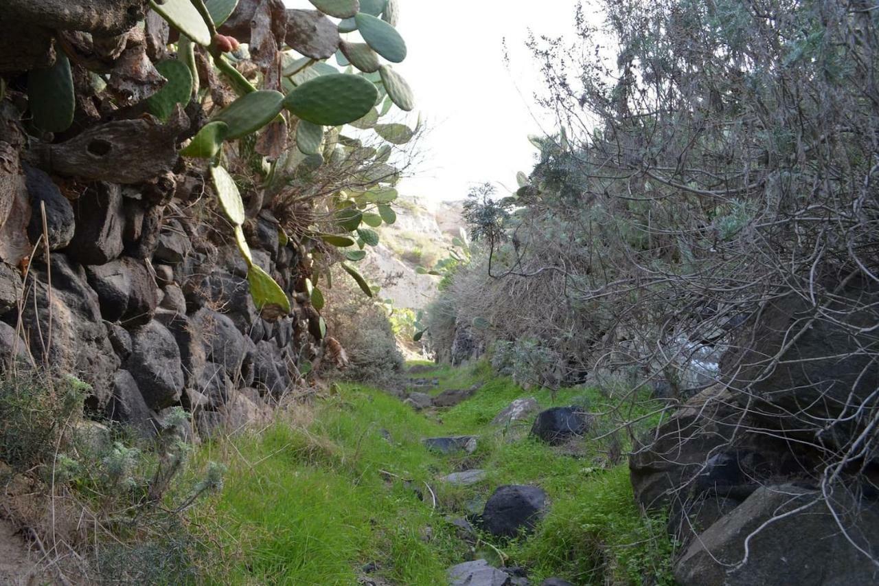 Villa Agrilia Secluded Cave House Therasia Exterior foto